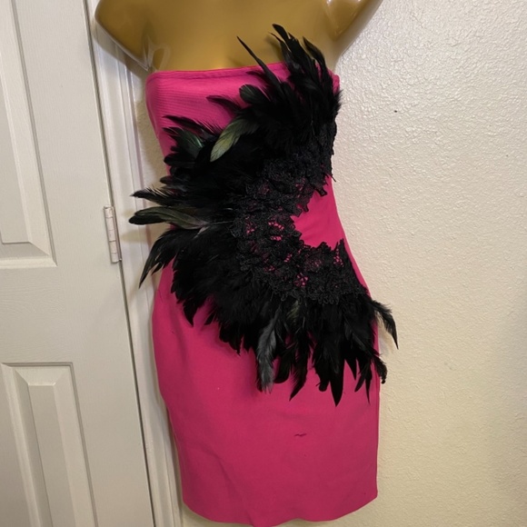 Fashion Nova bandage feather dresses - Picture 3 of 11
